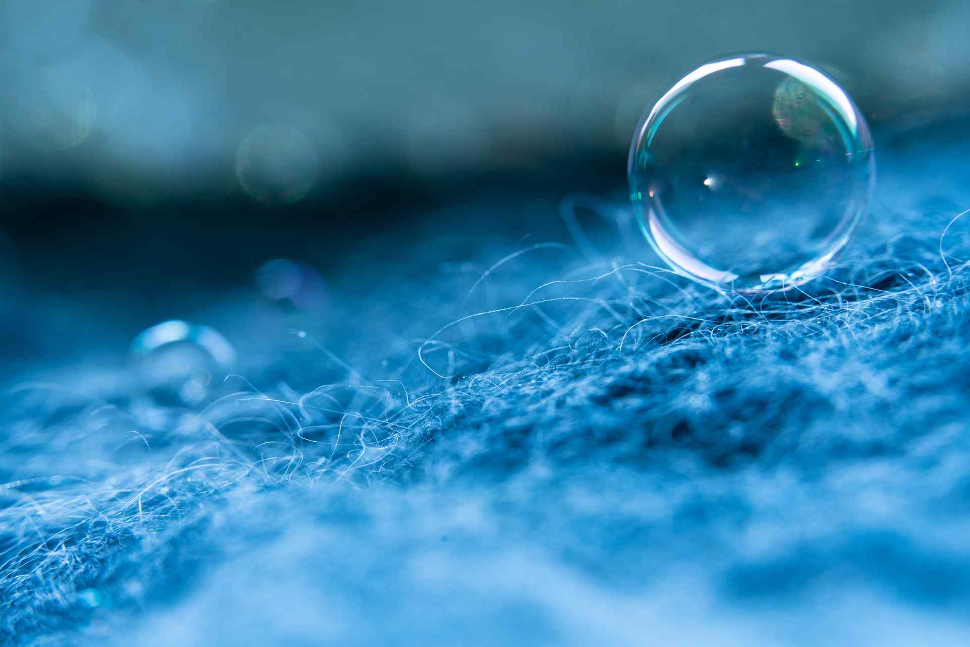 Our Favorite Transformations